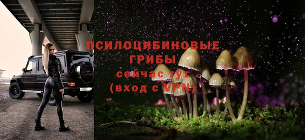 сатива Абаза