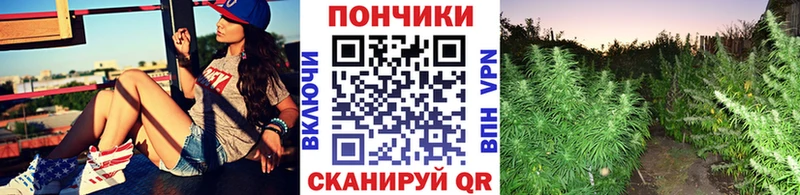 цены   darknet клад  Бошки Шишки SATIVA & INDICA  Тарко-Сале 